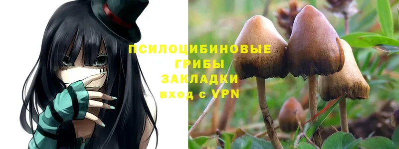 Псилоцибиновые грибы Magic Shrooms  Алексин 